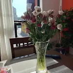 Casa Pino Penzion 3*