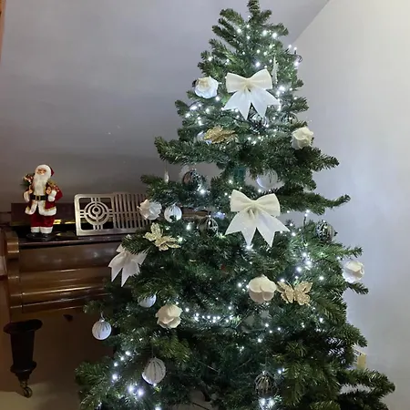 Penzion Casa Pino Brašov