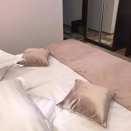Casa Pino ゲストハウス ブラショフ
