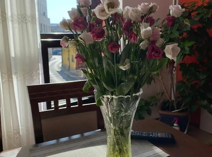 Casa Pino Pensionat 3*