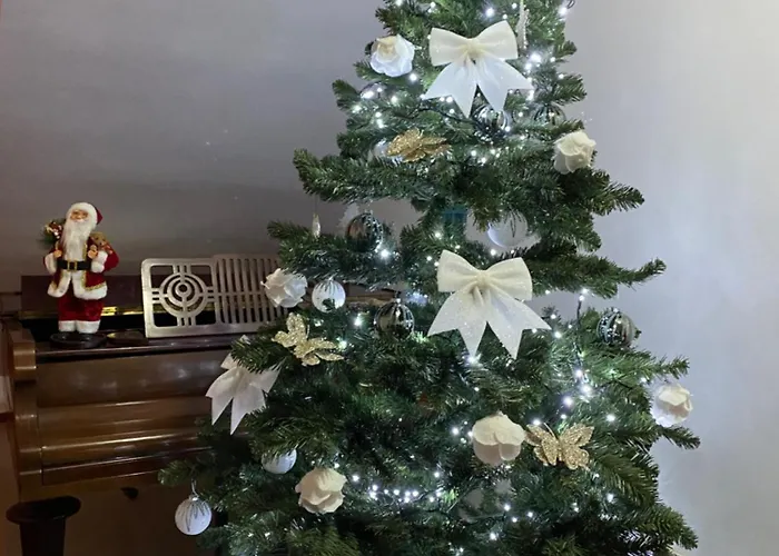 Pensiune Casa Pino Brașov